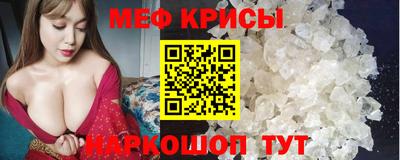 индика Пугачёв