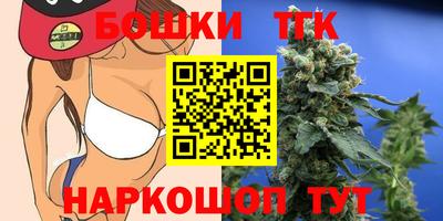 индика Пугачёв